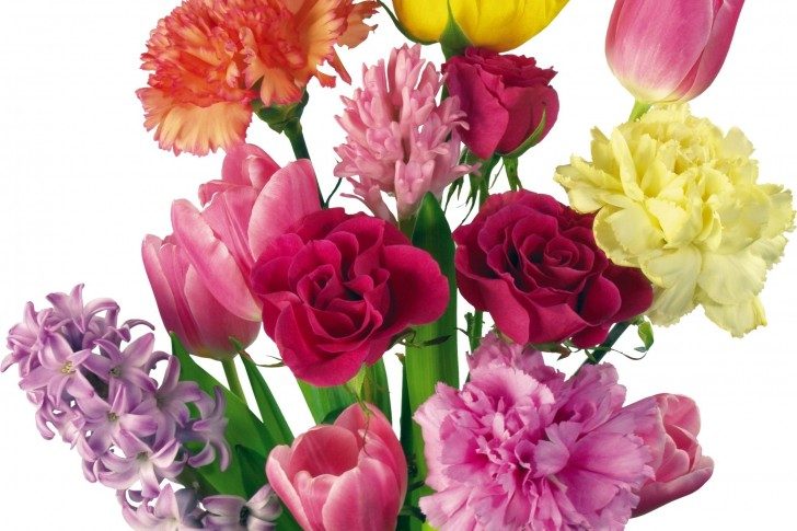 Ramo de claveles, rosas y tulipanes